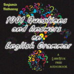1001 Questions and Answers on English Grammar
