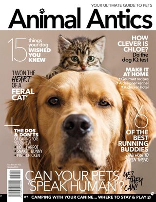 2-11942.jpg Animal Antics - Image 1