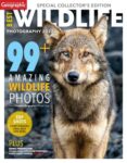 Canadian Geographic Best Wildlife Photography 2022