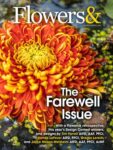 Flowers& Magazine