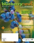The Blueberry News