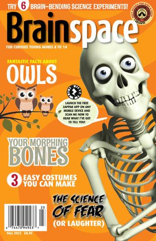 2-2378.jpg Brainspace - Image 1