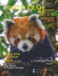 The WILD TRAIL Journal
