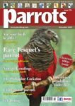 Parrots magazine