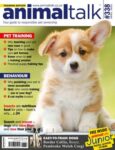 Animaltalk Magazine