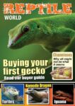 Reptile World