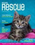 Kittycat Rescue