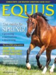 Equus