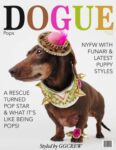 DOGUE
