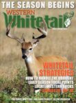 Western Whitetail Magazine