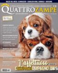 Quattro Zampe