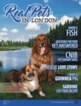 Real Pets in London Magazine