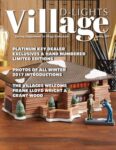 Village D-Lights