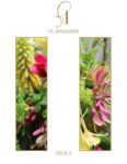 Fil Magazine