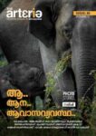 THE ARTERIA