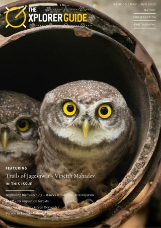 2-7315.jpg The Xplorer Guide - Image 1