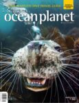 Scuba Diver - Ocean Planet