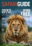 The Safari Guide