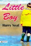 Little Boy by Harry Neal
