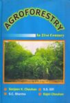 Agroforestry In 21st Century