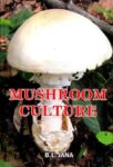 Mushroom Culture