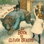 The Book of Clever Beasts