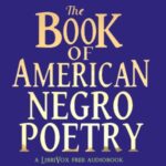 The Book of American Negro Poetry