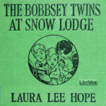 The Bobbsey Twins at Snow Lodge