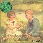 The Bobbsey Twins at School