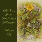 Short Nonfiction Collection Vol. 021