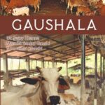 Gandhi His Life and Work