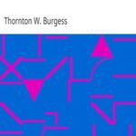 The Adventures of Mr. Mocker