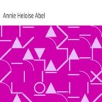 The American Indian as Participant in the Civil War