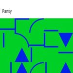 Four Girls at Chautauqua