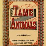 Tame Animals