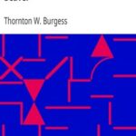 The Adventures of Paddy the Beaver