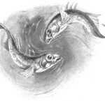 Among the Pond People