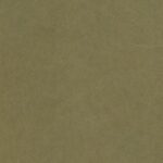 Charles Edward Putney: An Appreciation