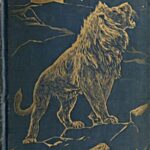 The Animal Story Book