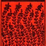 Nurse Heatherdale's Story