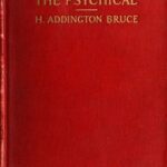 Adventurings in the Psychical