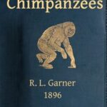Gorillas & Chimpanzees