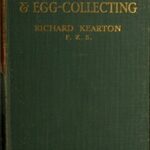 Birds' Nests, Eggs and Egg-Collecting