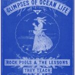Glimpses of Ocean Life; Or, Rock-Pools and the Lessons they Teach