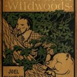 Aaron in the Wildwoods