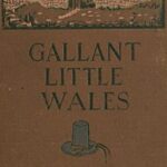 Gallant Little Wales: Sketches of its people, places and customs