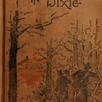 A Rebellion in Dixie