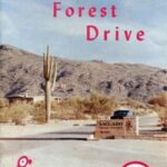 Cactus Forest Drive, Saguaro National Monument