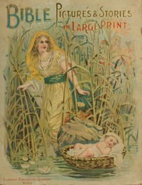 pg60793.cover_.medium.jpg Bible Pictures and Stories in Large Print - Image 1