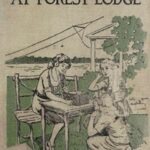 The Radio Girls at Forest Lodge; or, The Strange Hut in the Swamp
